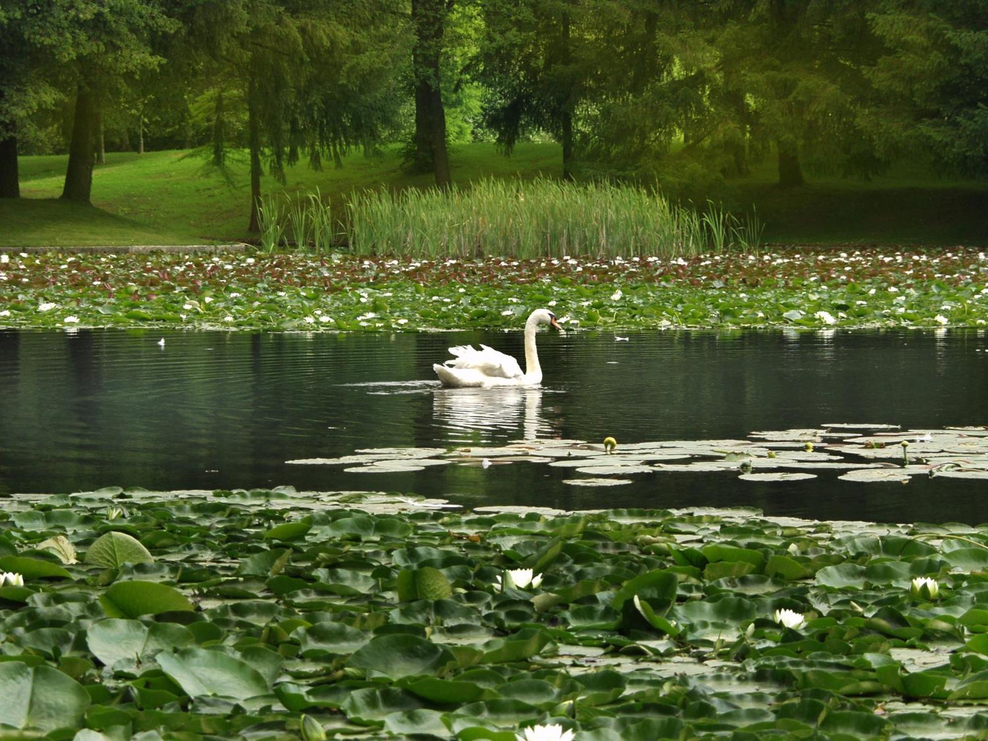 Elegans Hotel Brdo Kranj Dış mekan fotoğraf