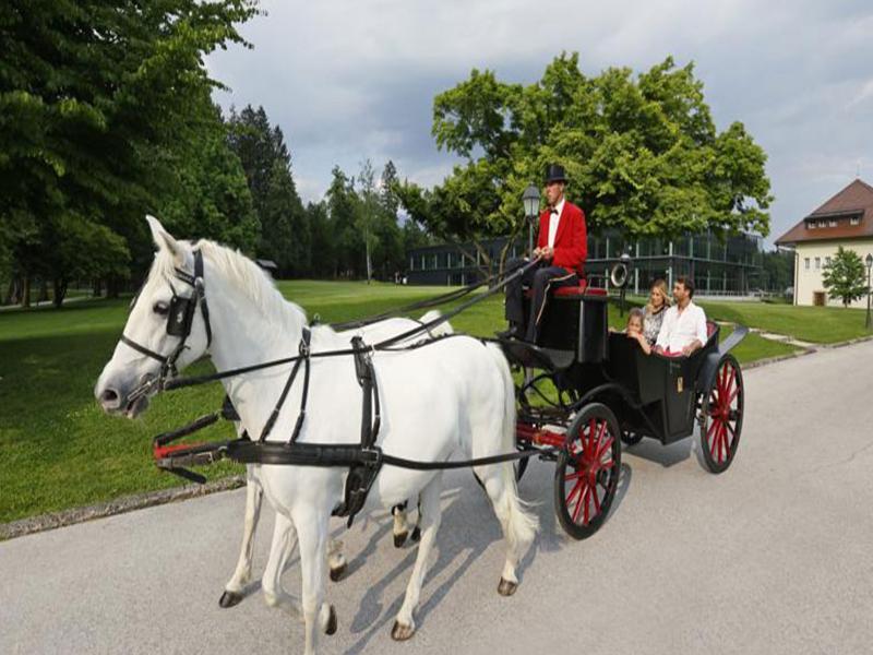 Elegans Hotel Brdo Kranj Dış mekan fotoğraf