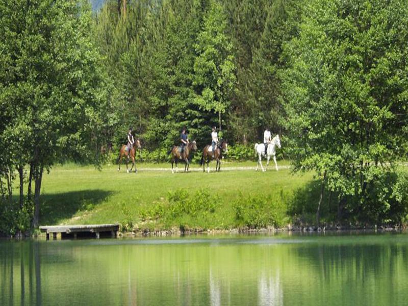 Elegans Hotel Brdo Kranj Dış mekan fotoğraf